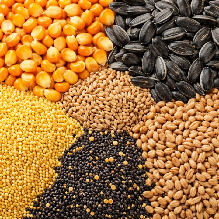 Uscătoare modulare de cereale Detail 7